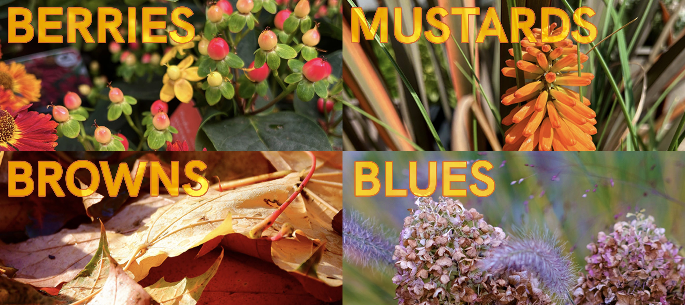 A'26-03-AUTUMN HUES 2